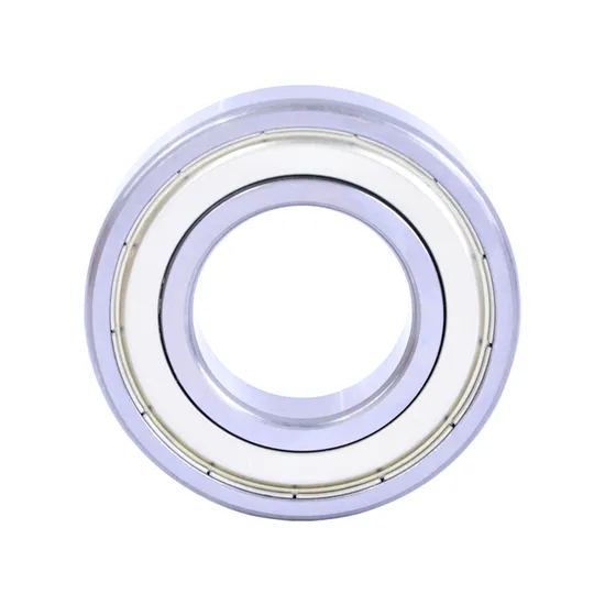 Bdl-16084-16088-16092-16096-Deep-Groove-Ball-Bearings-for-Plastic-Machinery