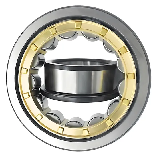 Bdl-Auto-Spare-Parts-Nj202em-Nj203em-Nj204em-Cylindrical-Roller-Bearing