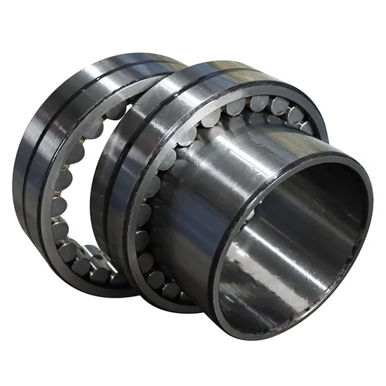 Bdl-High-Precision-Double-Row-Cylindrical-Roller-Bearing-Nn3008-Nn3009-Nn3010-P5-P4-W33