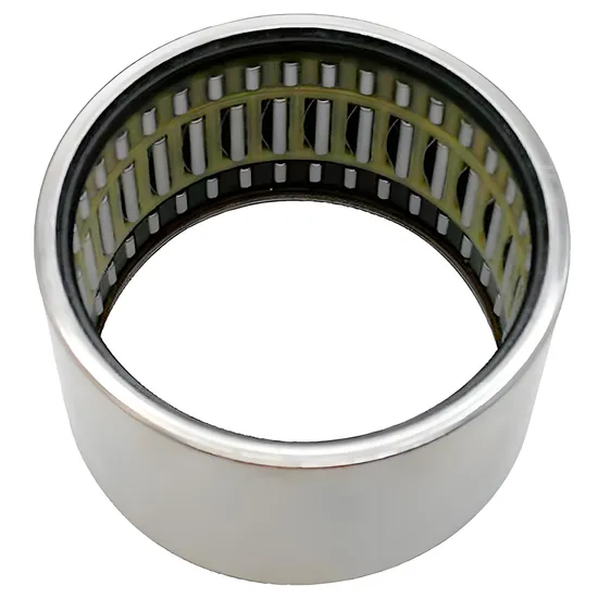 Bdl-Na4900-Na4901-Na4902-Needle-Bearings-Needle-Roller-Bearing