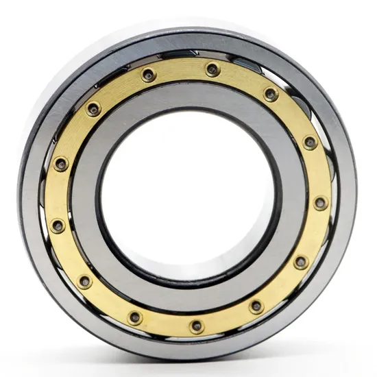 High-Precision-N316em-Nj316em-NF316em-Nu316em-Series-Bearing-Cylindrical-Roller-Bearing