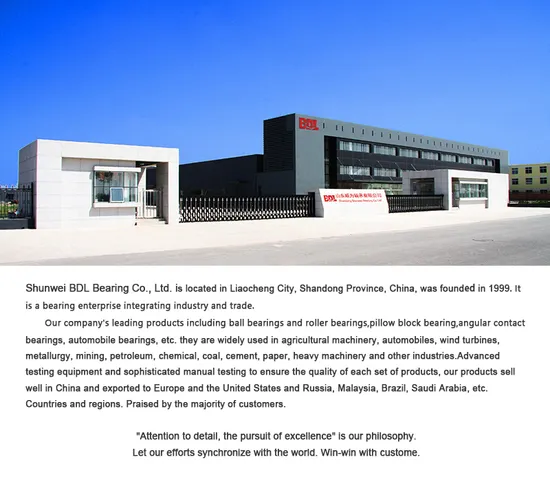 High-Precision-and-Low-Noise-Hiwin-PMI-Sbc-Abba-CPC-THK-Tbi-Won-Rexroth-Linear-Guideway-for-CNC-Machine