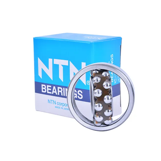 NSK-NTN-IKO-Koyo-NACHI-Bdl-Self-Aligning-Ball-Bearings-1200tni-for-Precision-Instruments-Low-Noise-Motors-