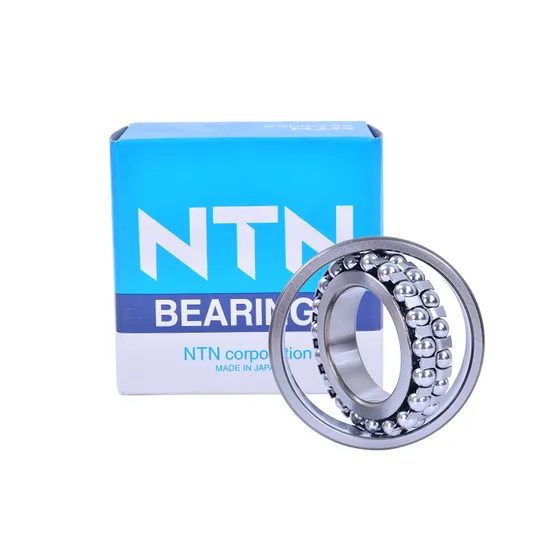 NTN NSK Koyo 2200 2201 2202 Self-Aligning Ball Bearings for Cars & Motorcycles