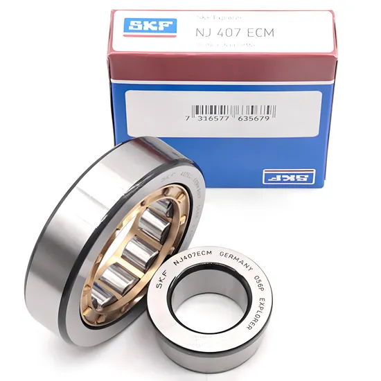 SKF-Sweden-Roller-Bearing-N309em-N310em-N311em-Cylindrical-Roller-Bearing